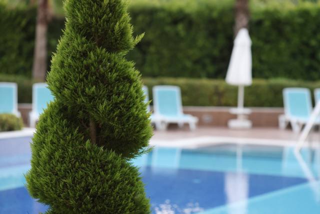 imagen6 1 1 vista de la piscina privada rodeada de jardines bien cuidados